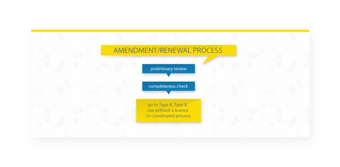 Amendment Process